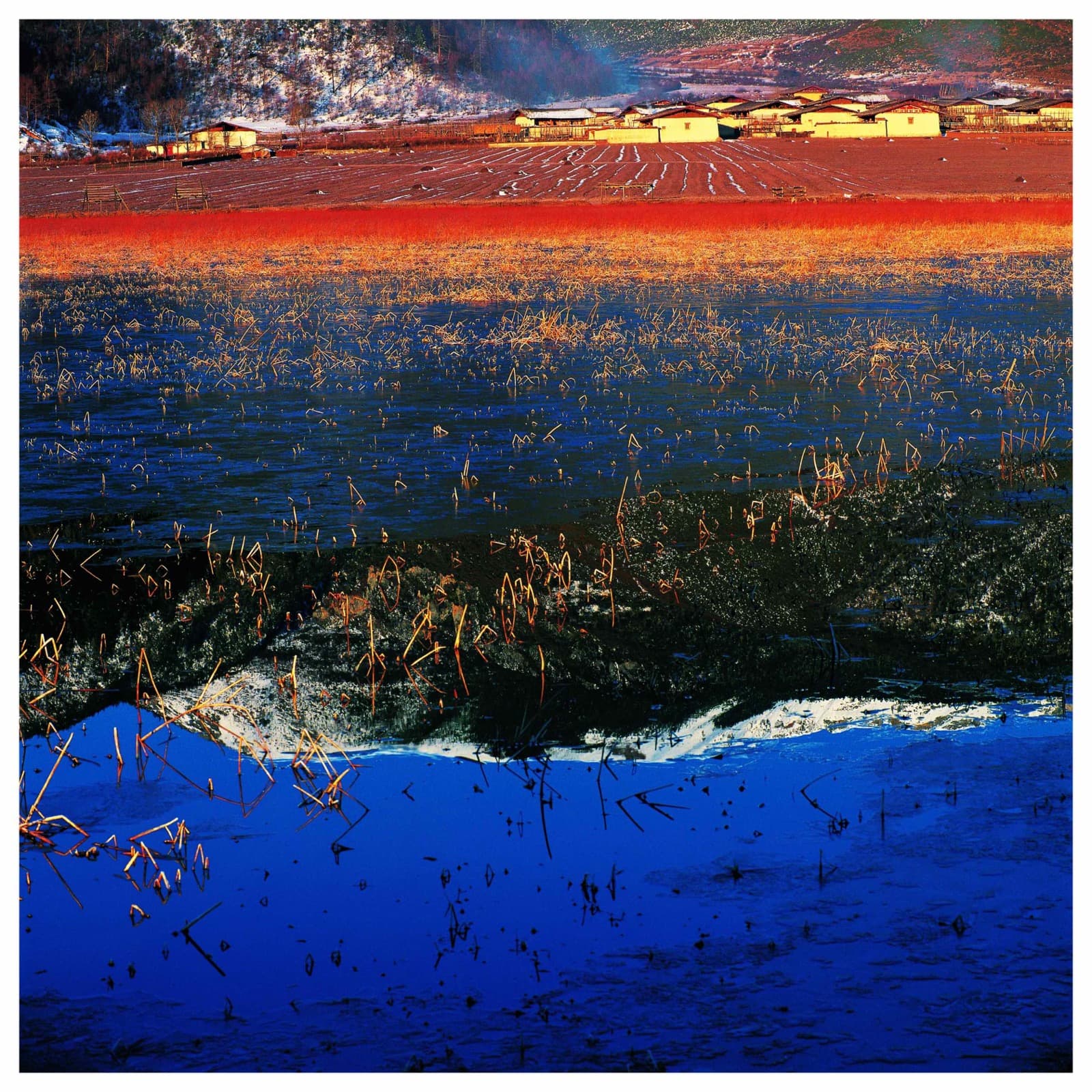Vivid wetland landscape at dusk